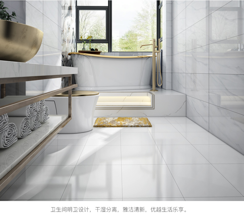 鷹牌瓷磚,Eagle Ceramics,衛生間廁所牆身磚,600X300,白色簡約, Wall Tiles,金銀倉,香港瓷磚Mall,網購瓷磚運輸,大陸瓷磚運輸到香港,