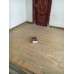 金瑞寶600X600木紋磚26312#,公屋裝修廉價首選,小型辦公室,平價裝修,主人房裝修,瓷磚大清倉,香港瓷磚大平賣,田貝四路買磚,淘寶瓷磚,