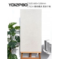 遠東信源 萊姆石大板磚 | 600×1200mm 極簡質感，重塑空間美學|金銀倉SHKNW——買瓷磚裝修材料信心的選擇|慳錢慳時間實惠唔貴選擇多