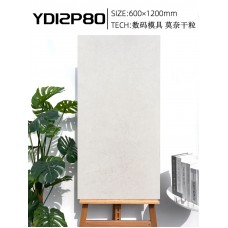 遠東信源 萊姆石大板磚 | 600×1200mm 極簡質感，重塑空間美學|金銀倉SHKNW——買瓷磚裝修材料信心的選擇|慳錢慳時間實惠唔貴選擇多