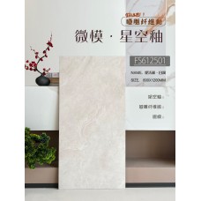 星空釉-600X1200mm-微型模具啞雕纖維抛-大板瓷磚|可以鋪貼地面墻身-金銀倉SHKNW-香港澳門裝修建材直銷批發-大陸瓷磚批發倉庫-深圳佛山瓷磚批發